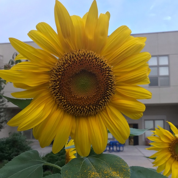 Meet your Posher, Briana - Picture 1 of 1